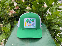 Parks Project Protect our Parks Tree Hugger Trucker Patch Hat