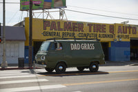 Dad Grass x George Harrison All Things Must Grass Bumper Sticker