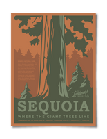 Sequoia National Park - 12x16 Poster