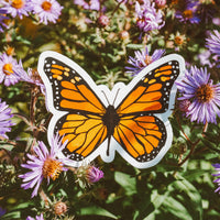 Monarch Butterfly Sticker 🦋