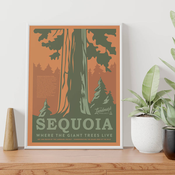 Sequoia National Park - 12x16 Poster