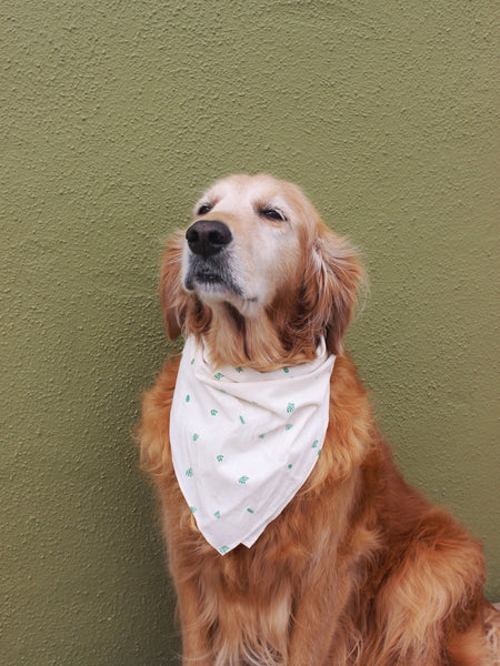 Mollusk Bandana - Cactus Garden