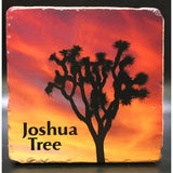 Joshua Tree Sunset Photo Coaster