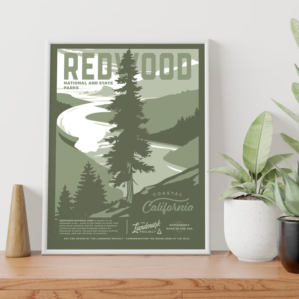 Redwood National Park - 12x16 Poster