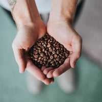 La Morena, Huehuetenango, Guatemala - whole bean coffee by Bar Nine - 250g