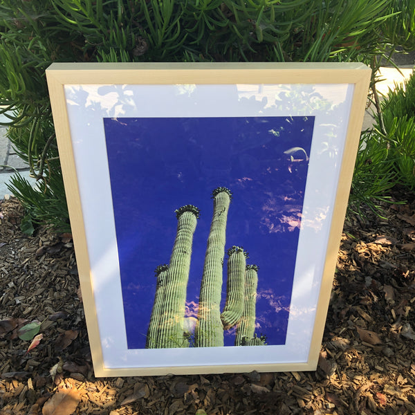 Cactus - Natural Wood Frame (17" x 23")