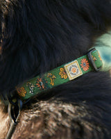 Power to the Parks Shrooms Dog Collar