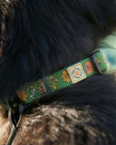 Power to the Parks Shrooms Dog Collar