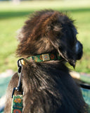 Power to the Parks Shrooms Dog Collar